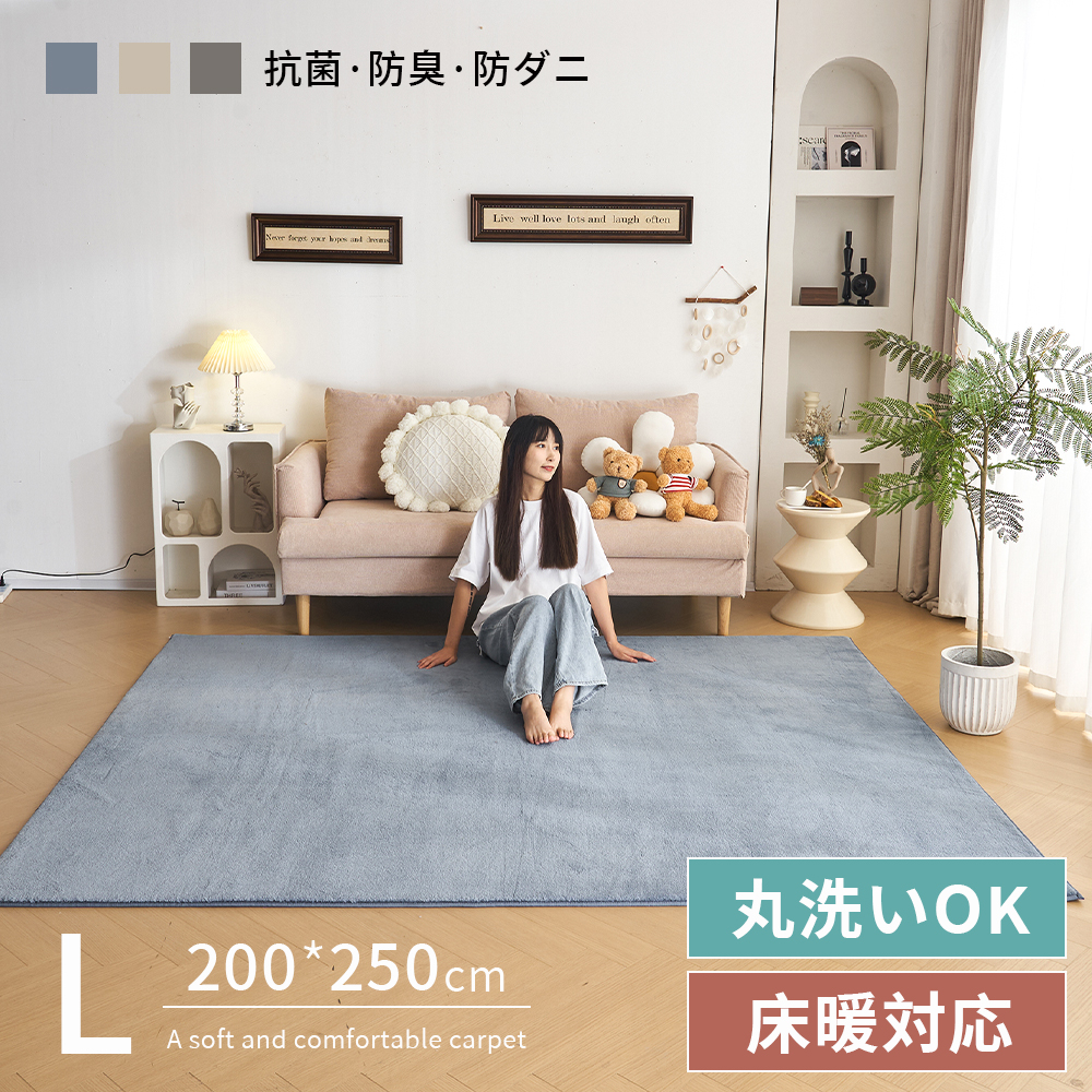 ラグ カシミヤ 洗える 北欧 ダウンリンク 200×250cm 超高密度織 約225万本/m2 カーペット 滑り止め ふかふか 洗える 角型 絨毯 床暖房 ホットカーペット おしゃれ 防カビ 防ダニ オールシーズン 【ブルー】   TH307851CAA