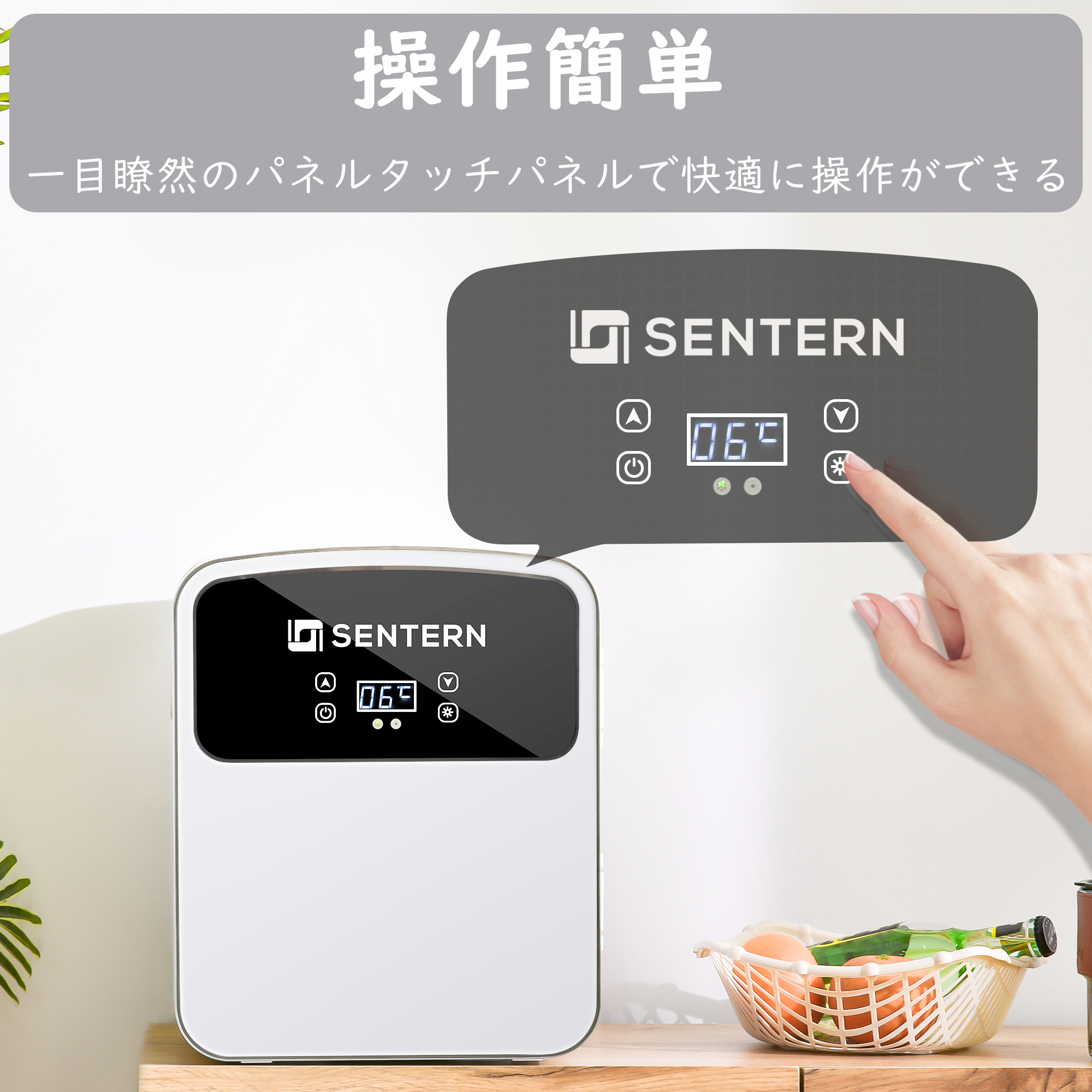 冷温庫 12L ポータブル 保冷庫 小型 車載 温冷庫 １台2役 2電源 AC DC 保温 保冷温庫 コンパクトES293049AAA