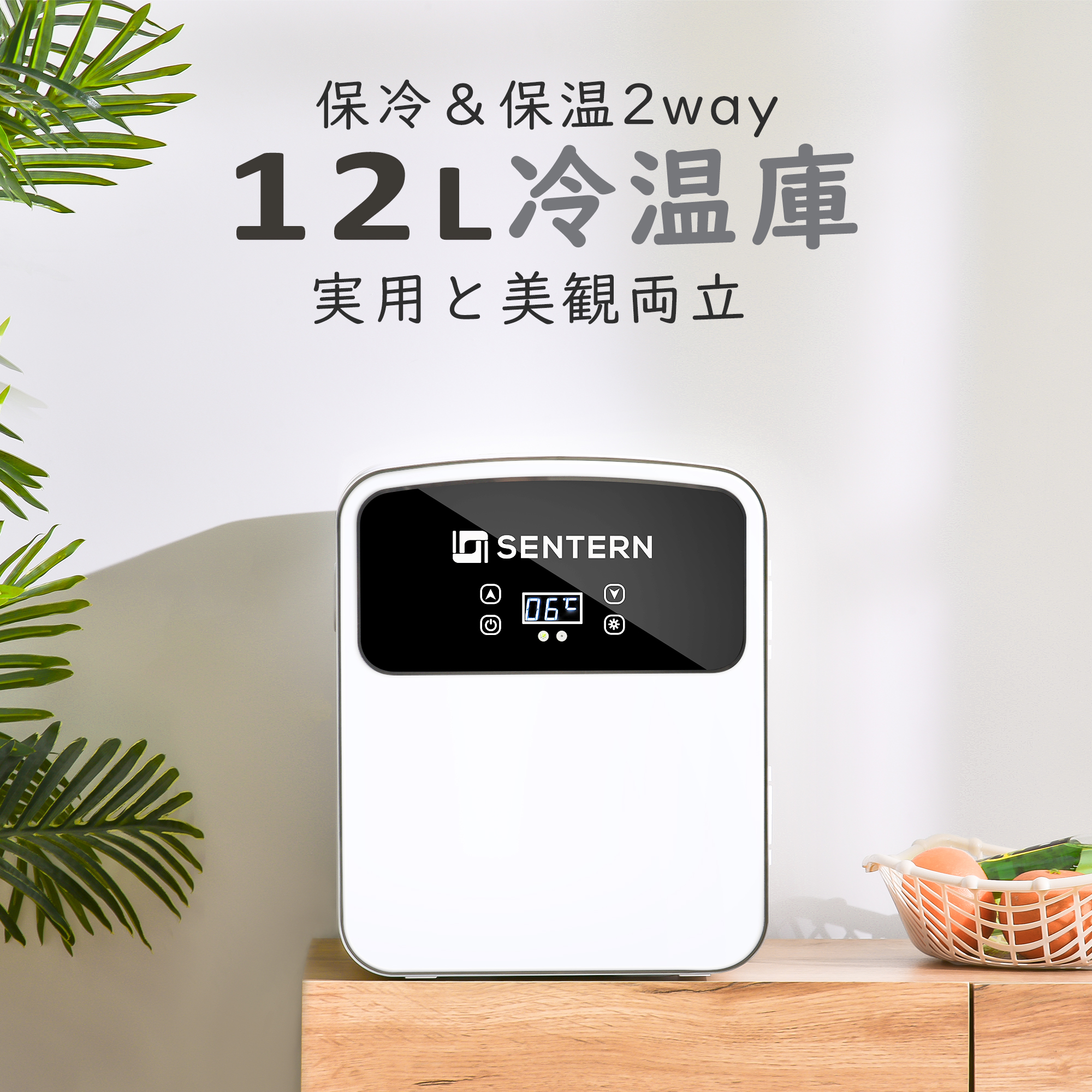 冷温庫 12L ポータブル 保冷庫 小型 車載 温冷庫 １台2役 2電源 AC DC 保温 保冷温庫 コンパクトES293049AAA