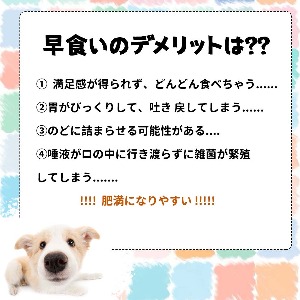 2个套装 早食避免 猫犬通用  宠物用 慢食器 减肥 吃得过多  慢食宠物 饲料入器 厚实  碗式 饲料入器 喂食器 食物碗 宠物碗 食物 时尚 易清洗 宠物用品 防滑    SY-01