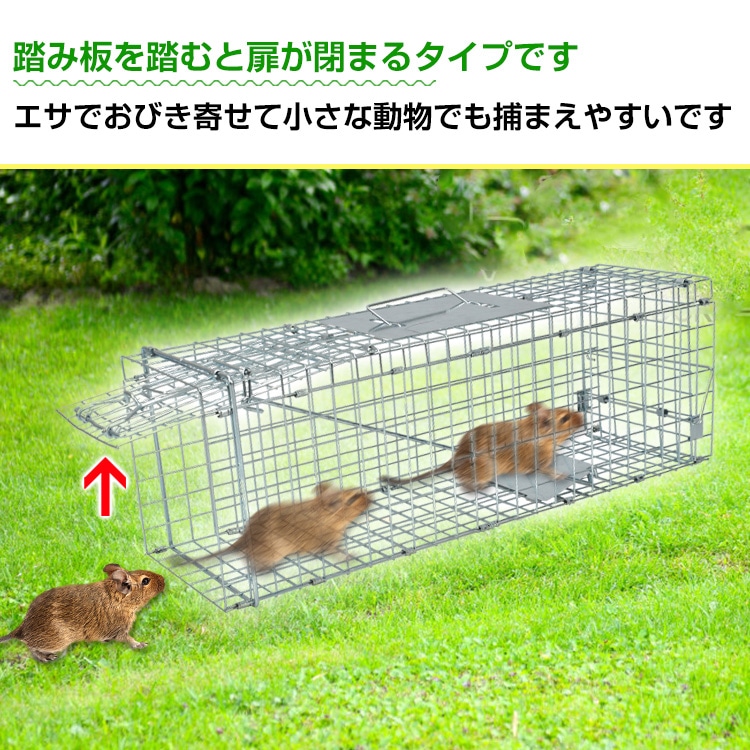 捕獲器 踏み板式 折りたたみ収納 ガード付き 害獣駆除 害獣対策 庭 畑 農業 家庭菜園   pt060-s