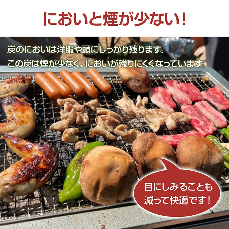 オガ炭 オガ備長炭 10kg 高火力 長い燃焼時間  煙が少ない 松 竹 アウトドア 業務用 バーベキュー BBQ  od636