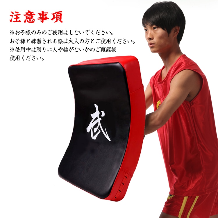 ビッグミット 打撃ミット 空手 キックボクシング 武道 総合格闘技 トレーニング ストレス解消 運動不足 初心者 上級者   de087