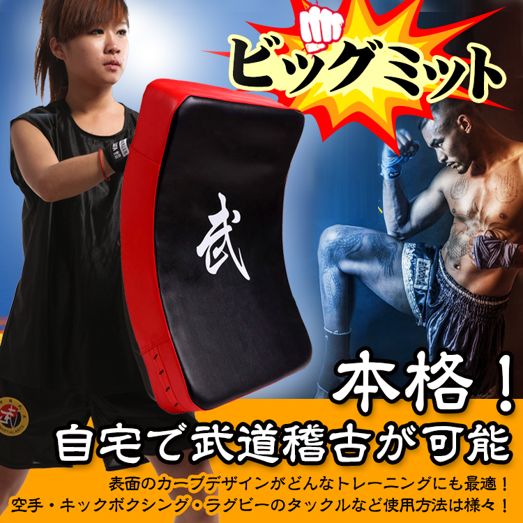 ビッグミット 打撃ミット 空手 キックボクシング 武道 総合格闘技 トレーニング ストレス解消 運動不足 初心者 上級者   de087