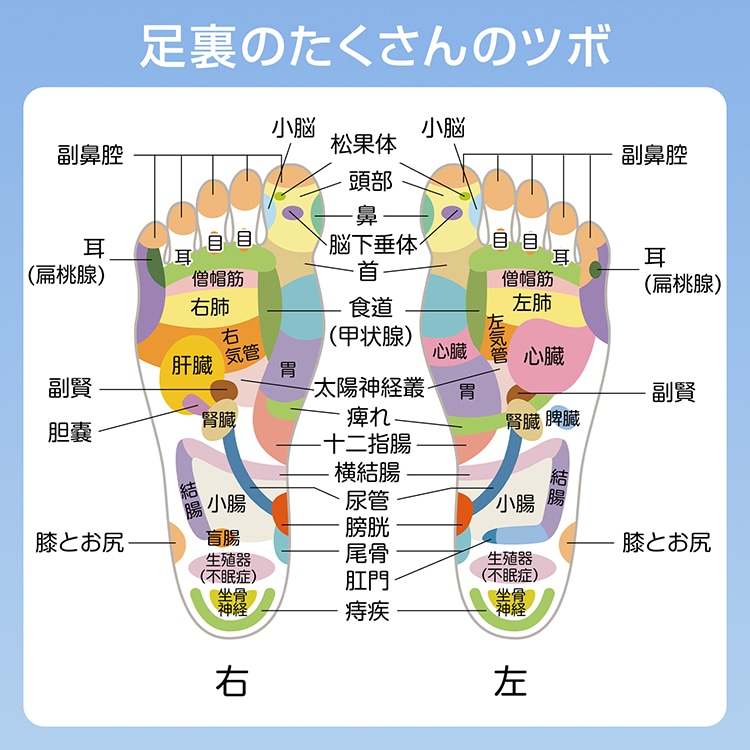足つぼマット 足ツボマット 指圧ボード 55cm  円形 水洗い可能 磁石付き 滑りにくい フットマッサージ 足裏マッサージ フットケア 疲労軽減 ストレス解消 足痛み de166
