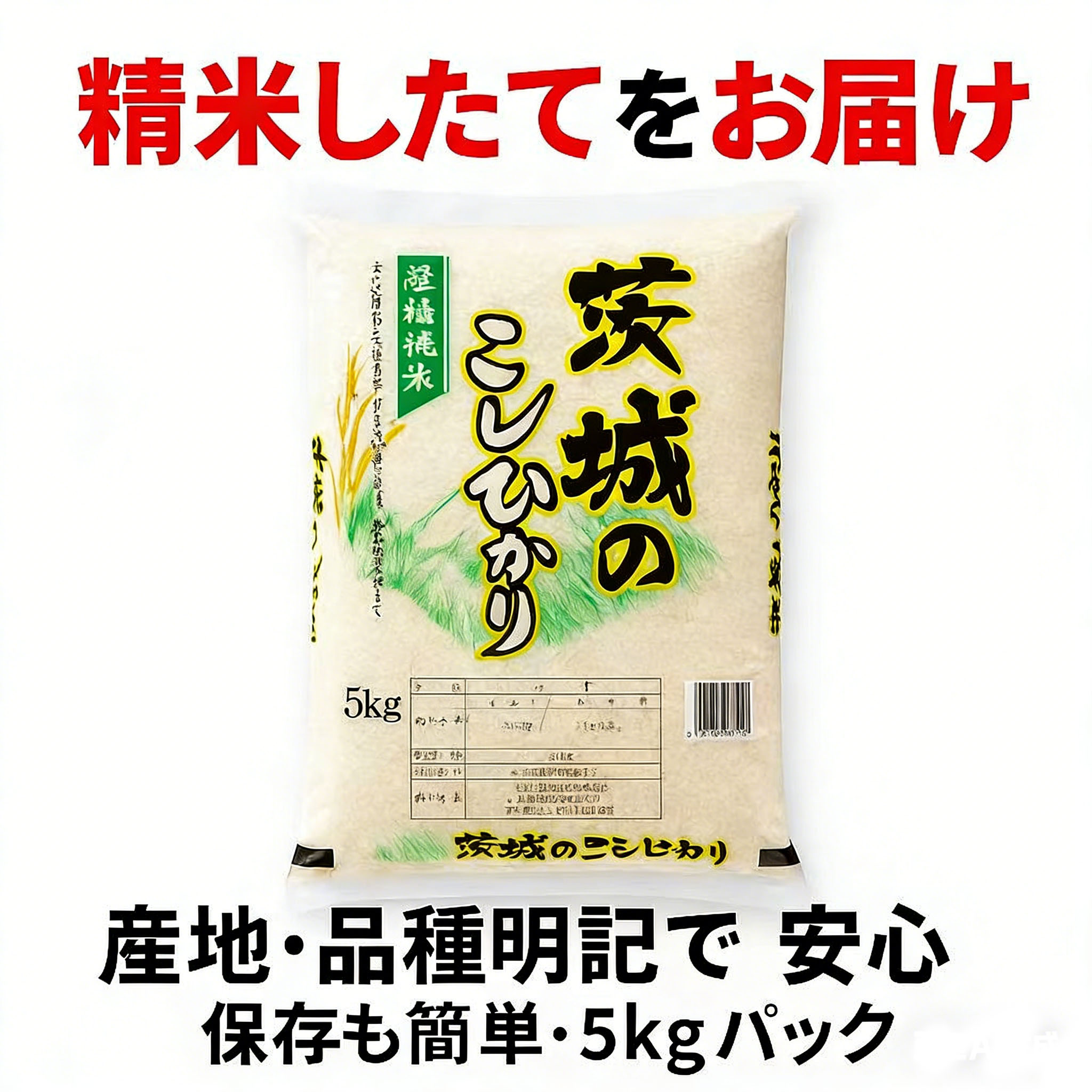 【送料無料】茨城県産コシヒカリ 5kg/10kg  家計応援！令和6年産 新米／まとめ買い割引あり  GYSQHJ-01