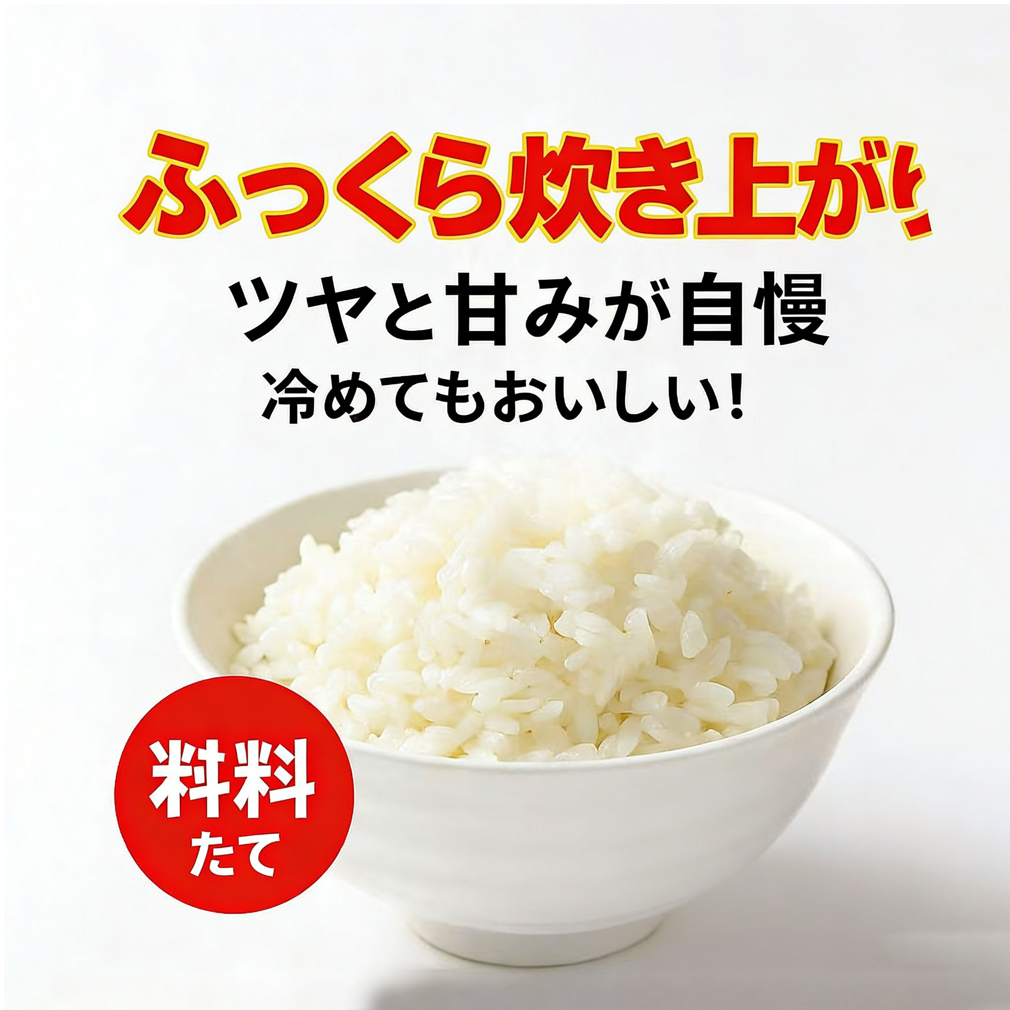 【送料無料】茨城県産コシヒカリ 5kg/10kg  家計応援！令和6年産 新米／まとめ買い割引あり  GYSQHJ-01