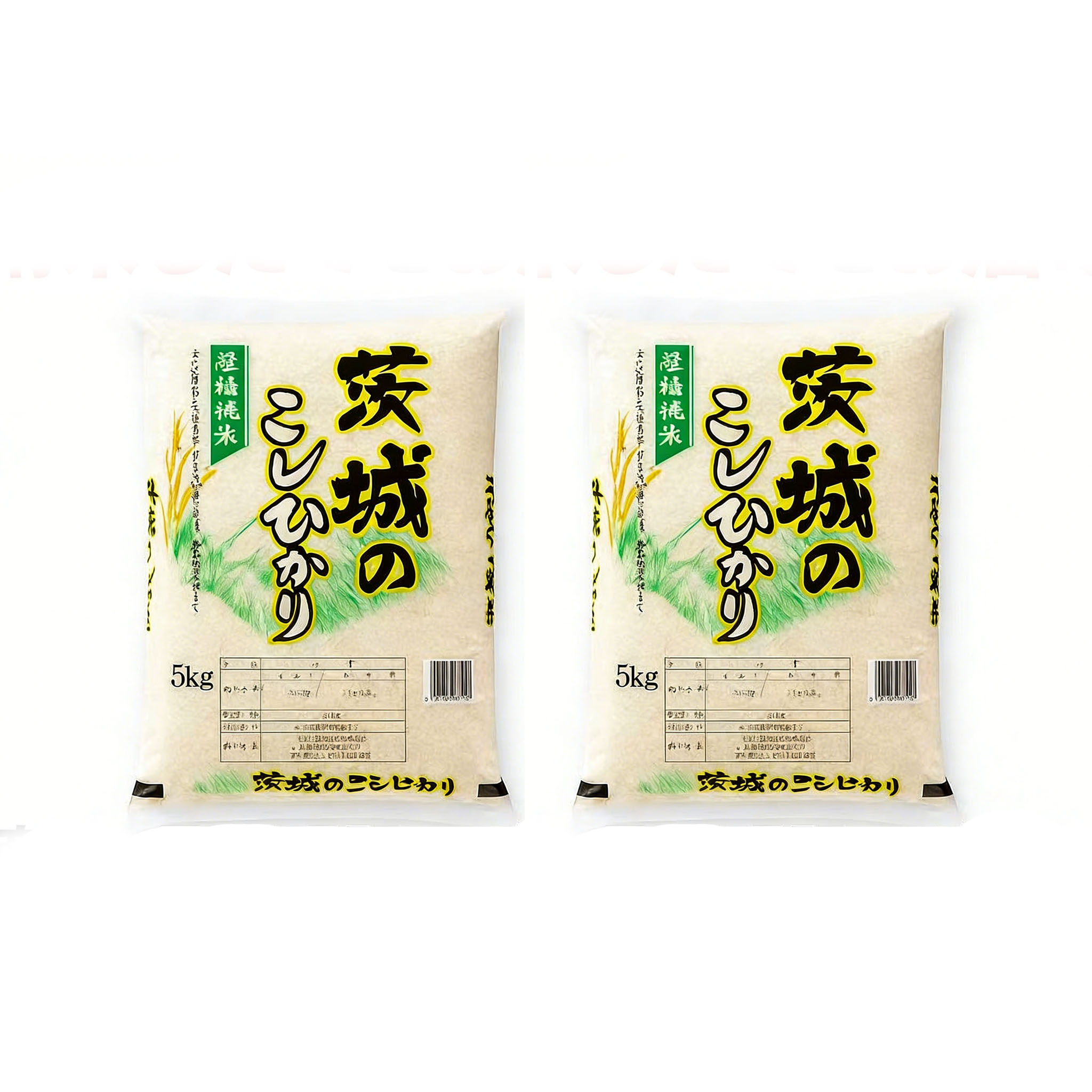 【送料無料】茨城県産コシヒカリ 5kg/10kg  家計応援！令和6年産 新米／まとめ買い割引あり  GYSQHJ-01
