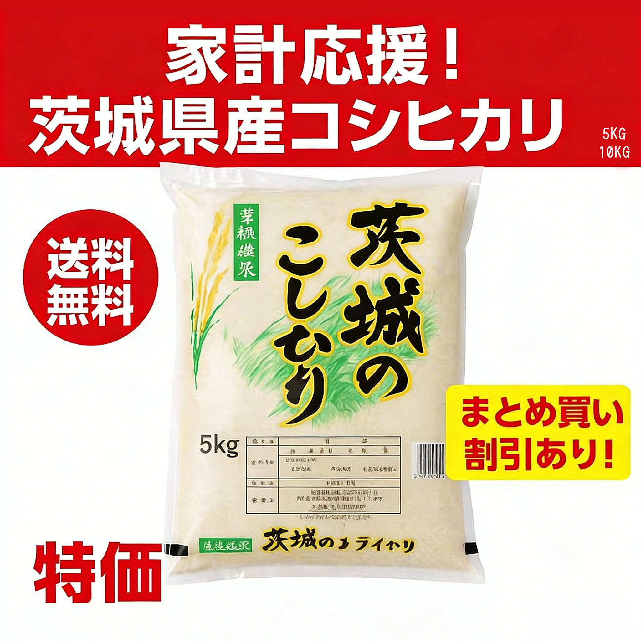 【送料無料】茨城県産コシヒカリ 5kg/10kg  家計応援！令和6年産 新米／まとめ買い割引あり  GYSQHJ-01