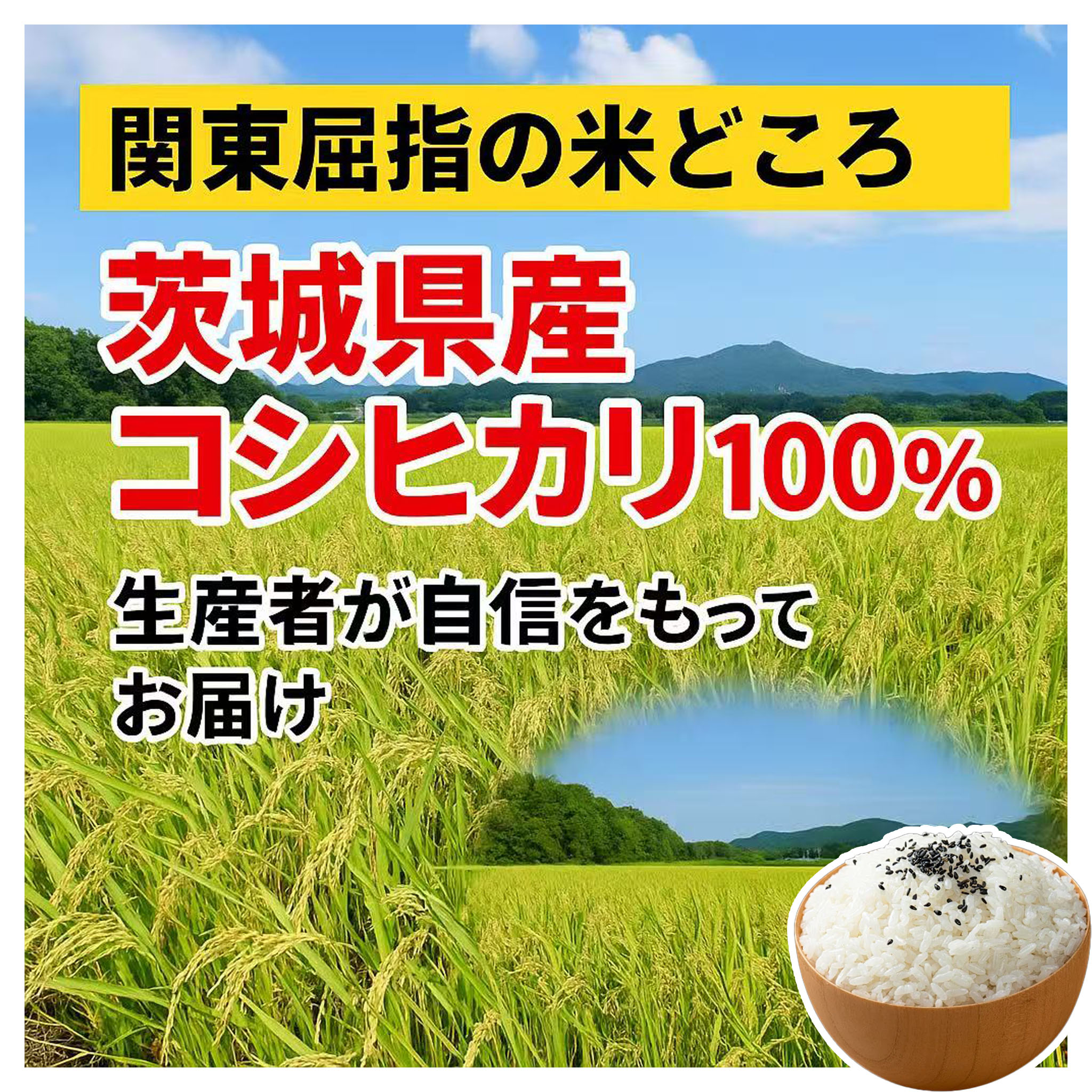 【送料無料】茨城県産コシヒカリ 5kg/10kg  家計応援！令和6年産 新米／まとめ買い割引あり  GYSQHJ-01