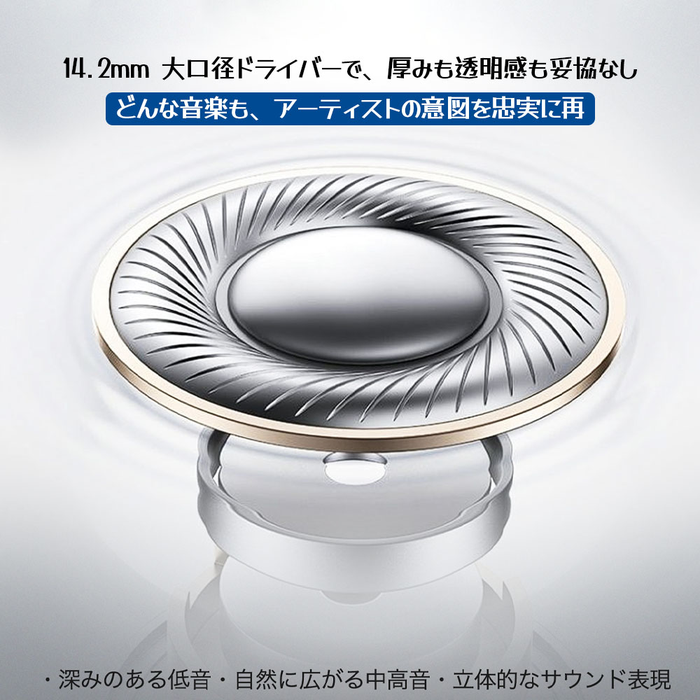 有線イヤホン イヤホン 高音質 マイク付き 通話可能 ノイズ低減 リモコン付き 電流ノイズ抑え Type-C/USB-A/3.5mm接続 オンライン会議 ビジネス用 普段使い ゲーム用  POWER W135