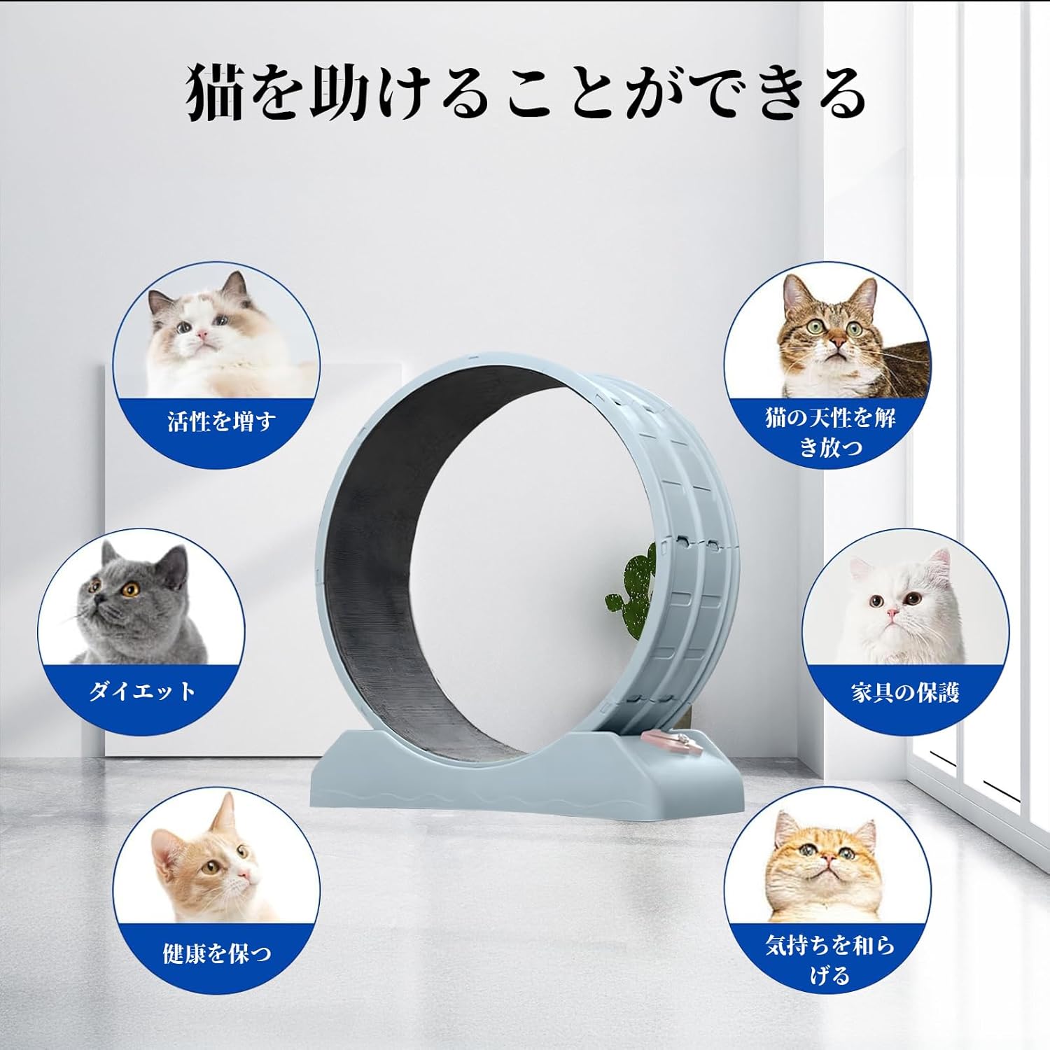 キャットホイール 猫用トレッドミル 猫ランニングホイール 丈夫で静かな軽量プラスチック素材 で運動不足解消、ストレス解消 軽量 サイレントホイール 組み立て簡単 ホイール運動不足のペットにも最適 ル 日本語の説明書付き
