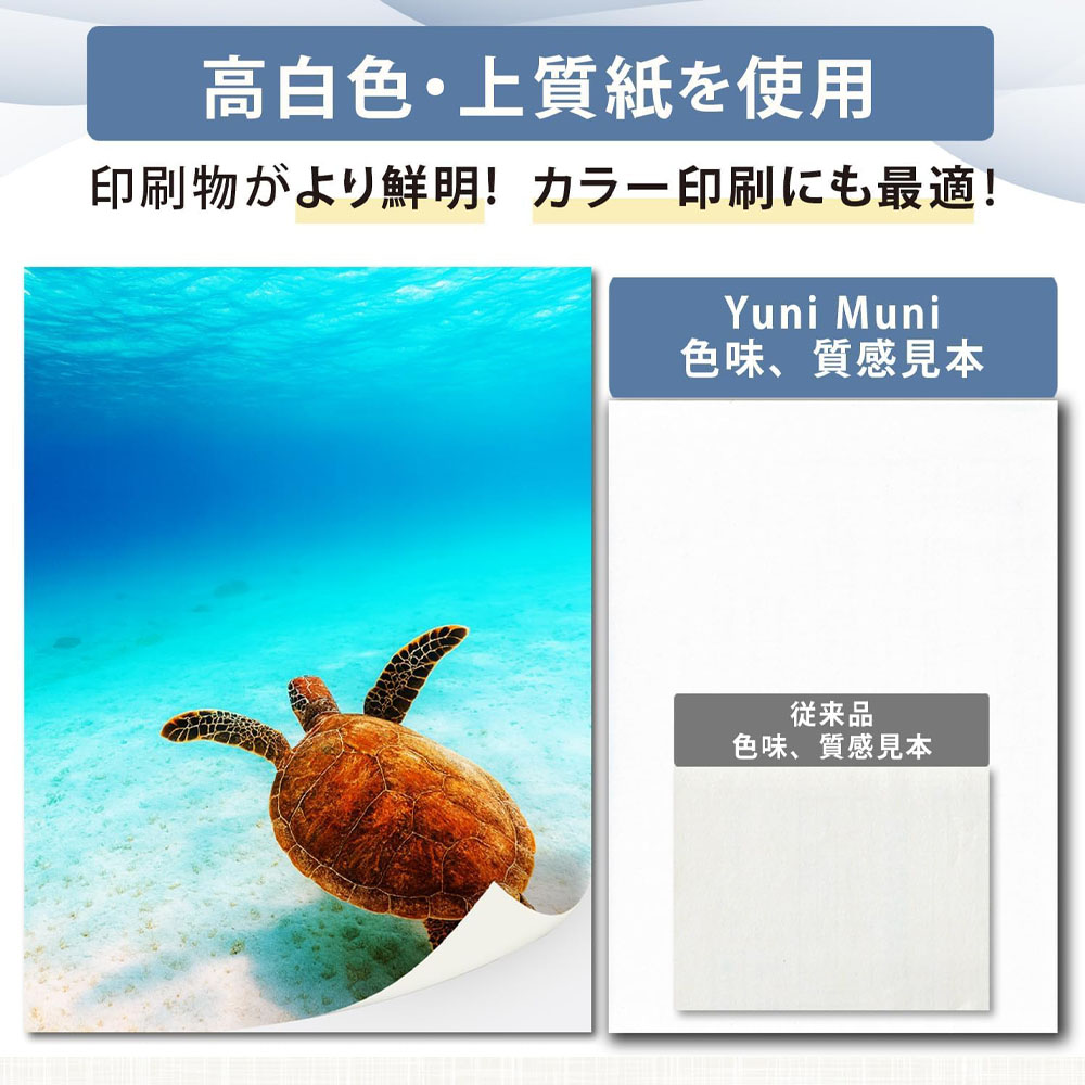 ラベルシール 4面 A4 500シート リックポスト対応 引越し仕分け ボトルラベル ファイル表紙 きれいにはがせる 強粘着 各種プリンタ対応 WBGHSQQ-02